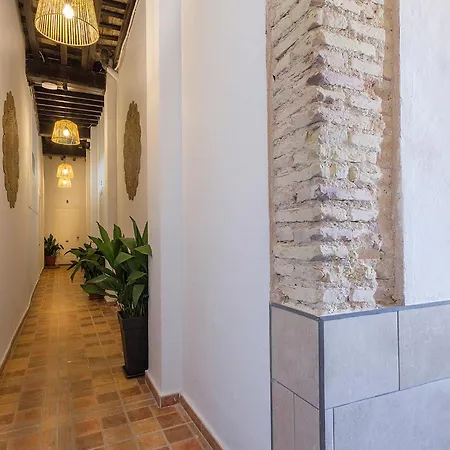 Apartment Azvalia - Casa San Juan